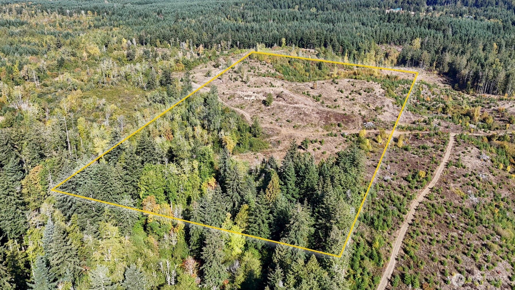 13409 Algyer Road Southeast Rainier, WA 98576 - Photo 21 of 25 Gallery Image 21