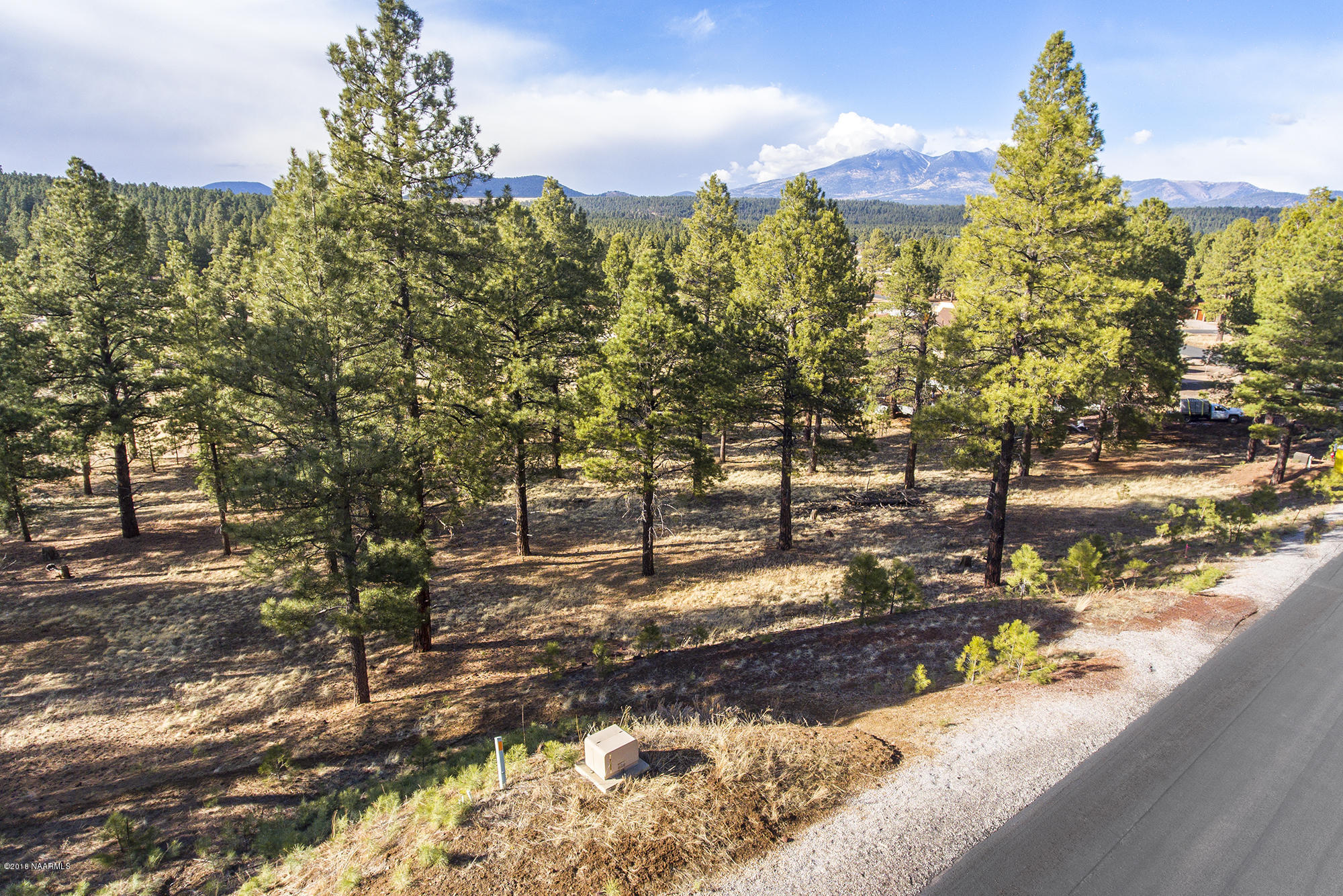 3995 South Flagstaff Ranch Road Flagstaff, AZ 86005 - Photo 11 of 29 Aerial1