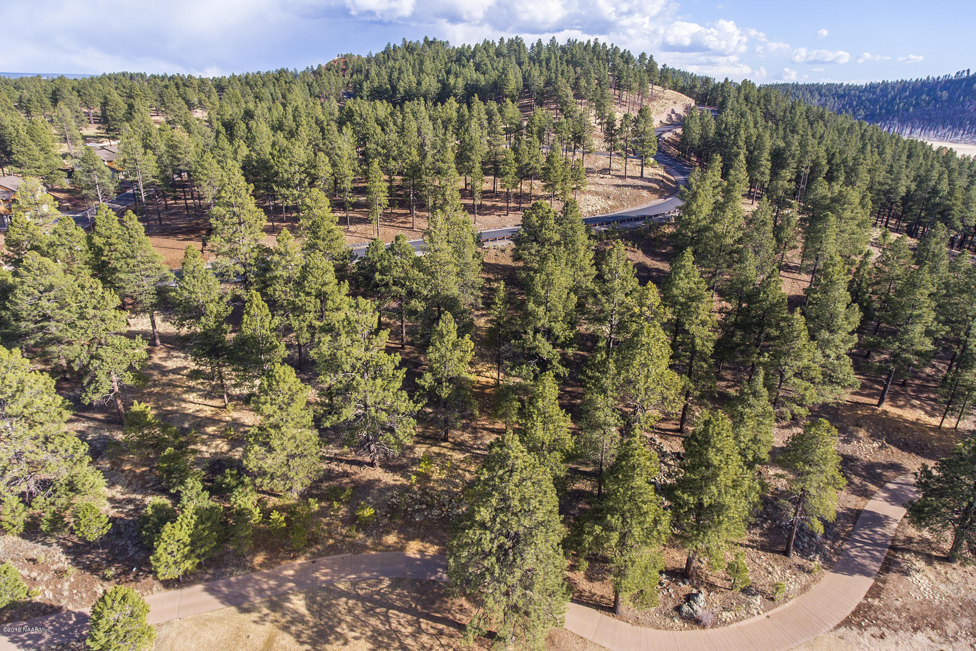 3995 South Flagstaff Ranch Road Flagstaff, AZ 86005 - Photo 22 of 29 Aerial8
