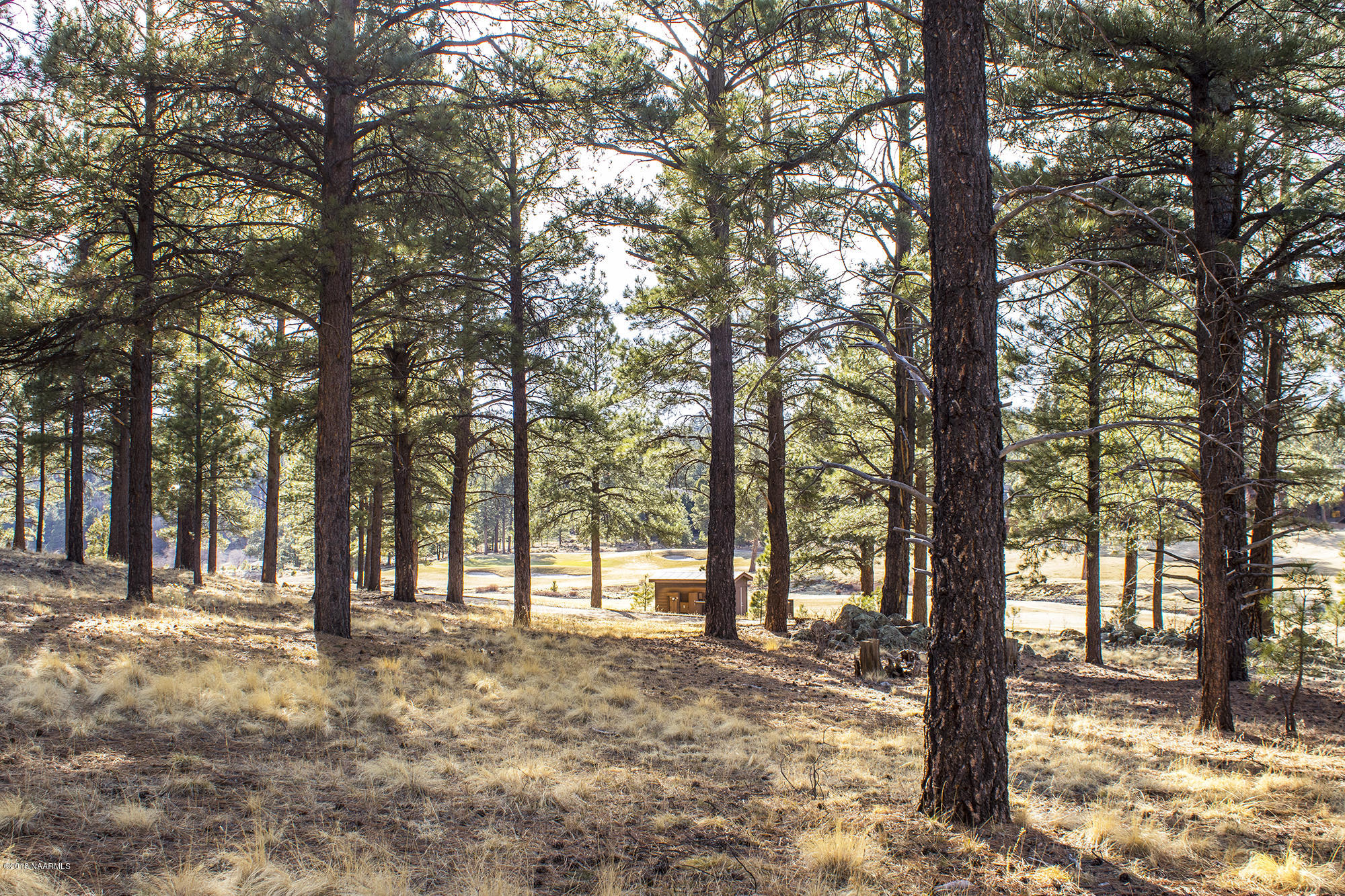 3995 South Flagstaff Ranch Road Flagstaff, AZ 86005 - Photo 8 of 29 Lot6