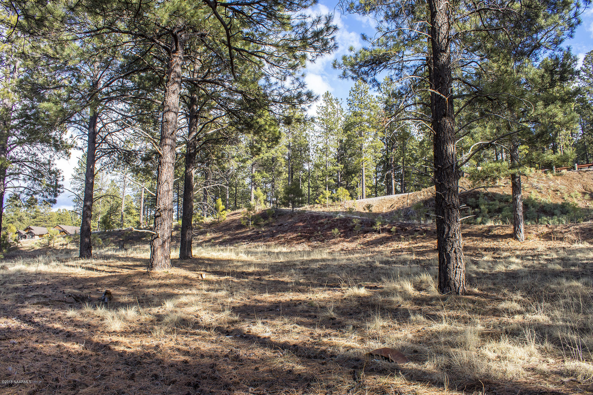 3995 South Flagstaff Ranch Road Flagstaff, AZ 86005 - Photo 9 of 29 Lot7