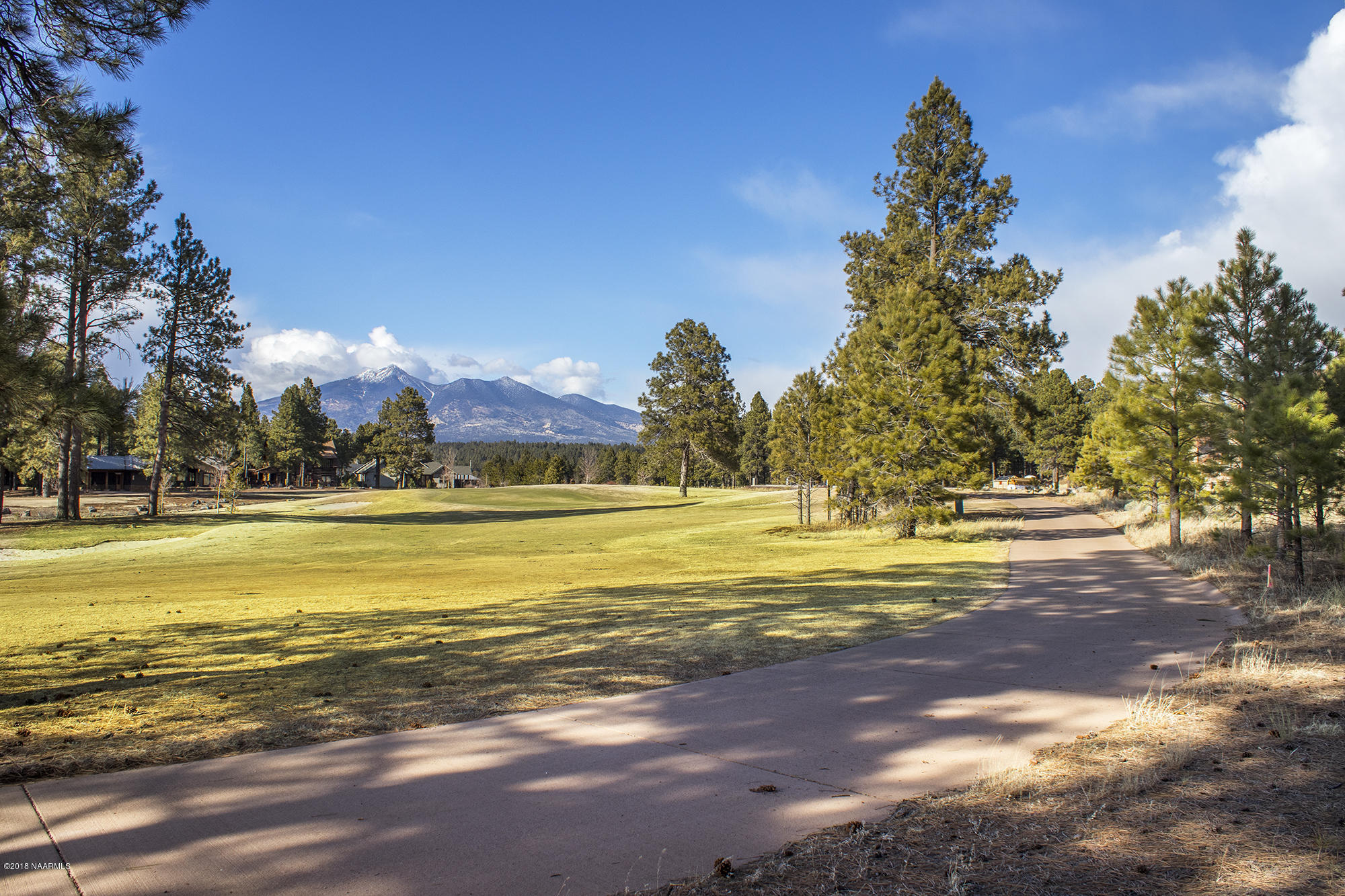 3995 South Flagstaff Ranch Road Flagstaff, AZ 86005 - Photo 10 of 29 Lot8