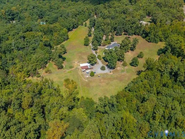 a view of a yard in a forest