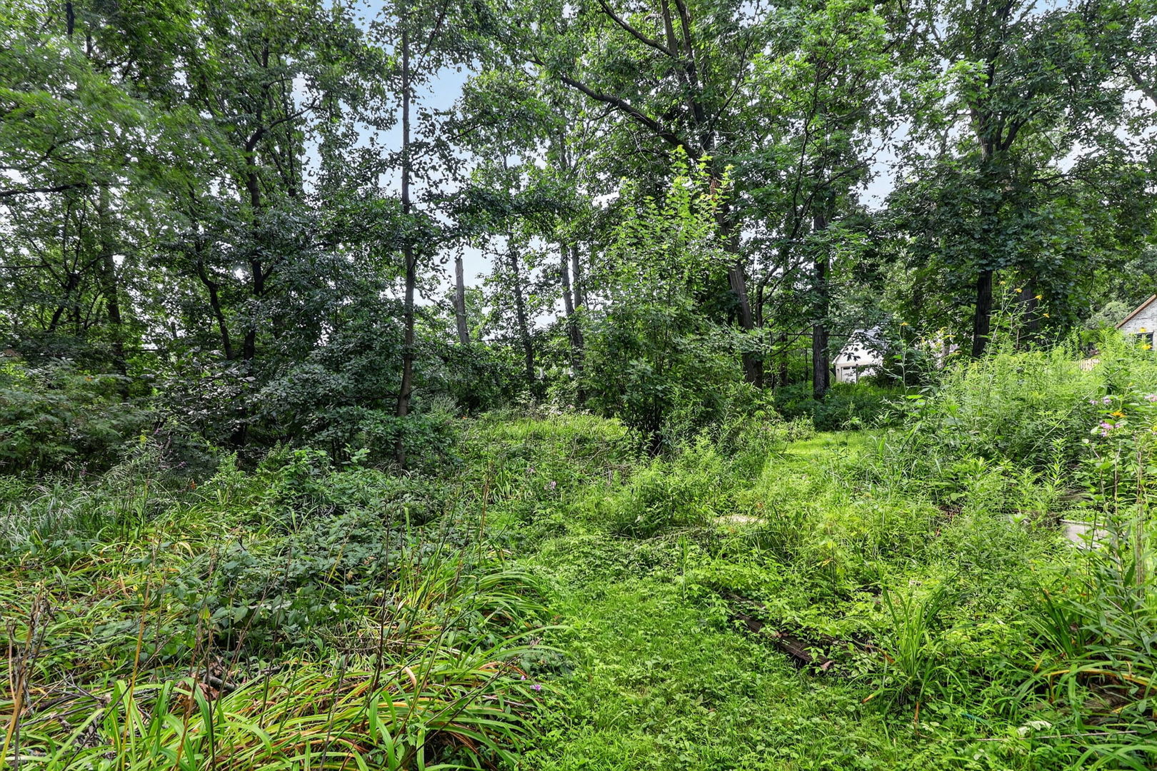 3700 Douglas Road Downers Grove, IL 60515 - Photo 39 of 41 Gallery Image 39
