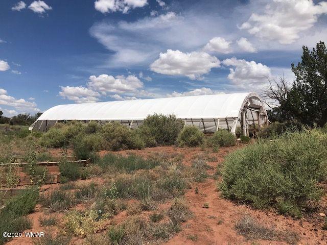 242 County Road Concho, AZ 85924 - Photo 13 of 28 a view of a dry yard with trees