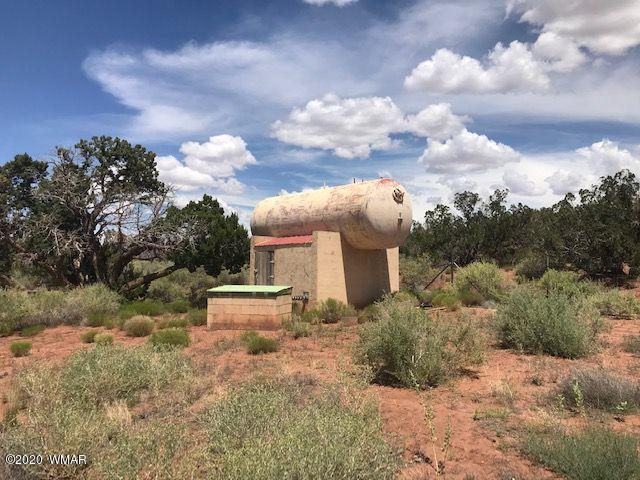 242 County Road Concho, AZ 85924 - Photo 7 of 28 a view of a house with a yard