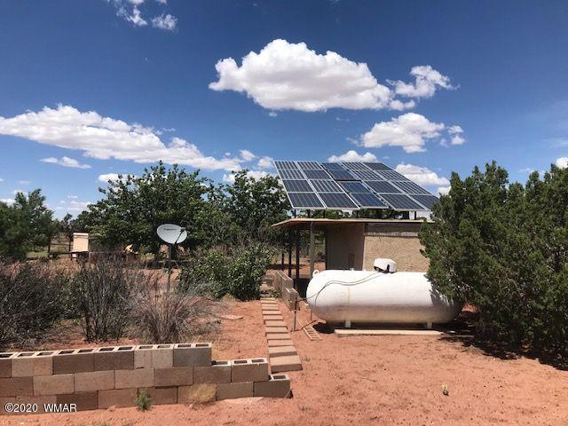 242 County Road Concho, AZ 85924 - Photo 8 of 28 a view of a back yard