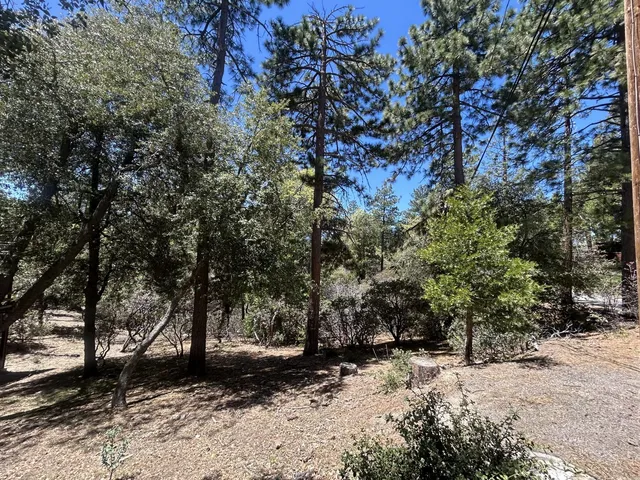 $60,000 | Pine Cove Road, Idyllwild, CA 92549