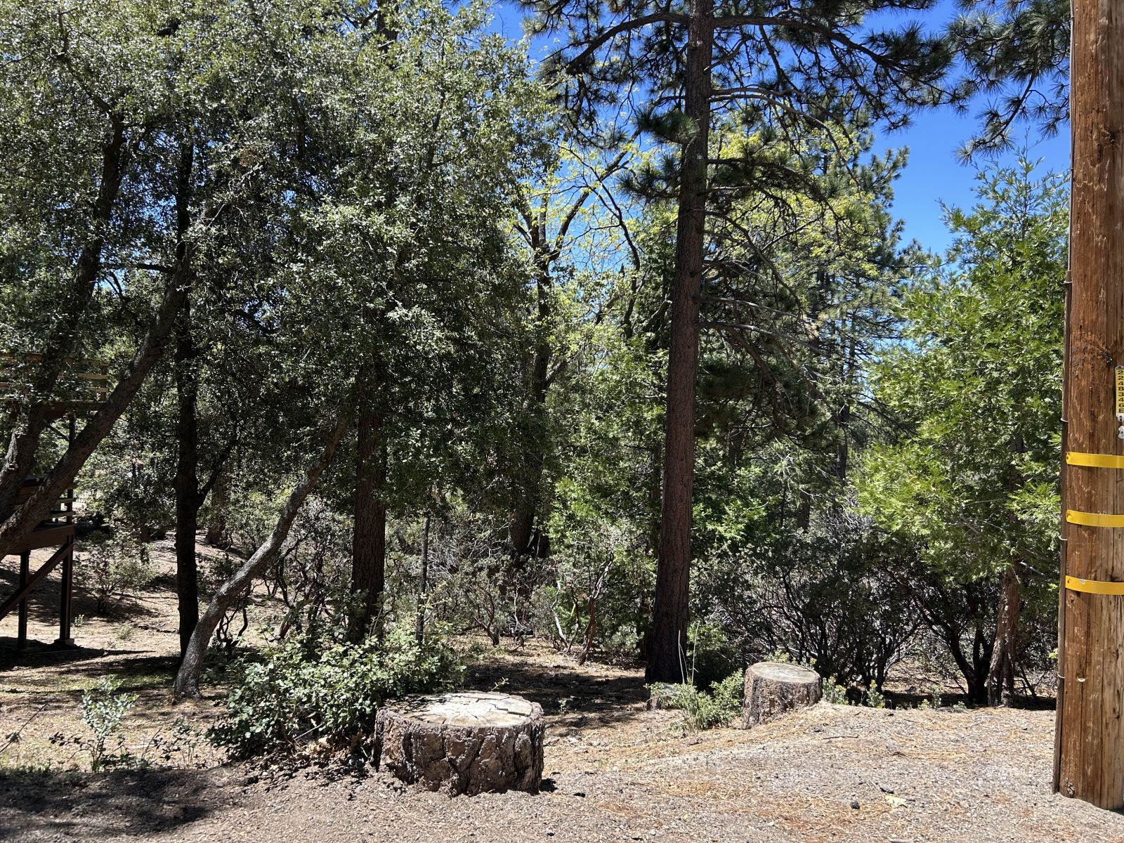 Pine Cove Road Idyllwild, CA 92549 - Photo 3 of 7 Untitled