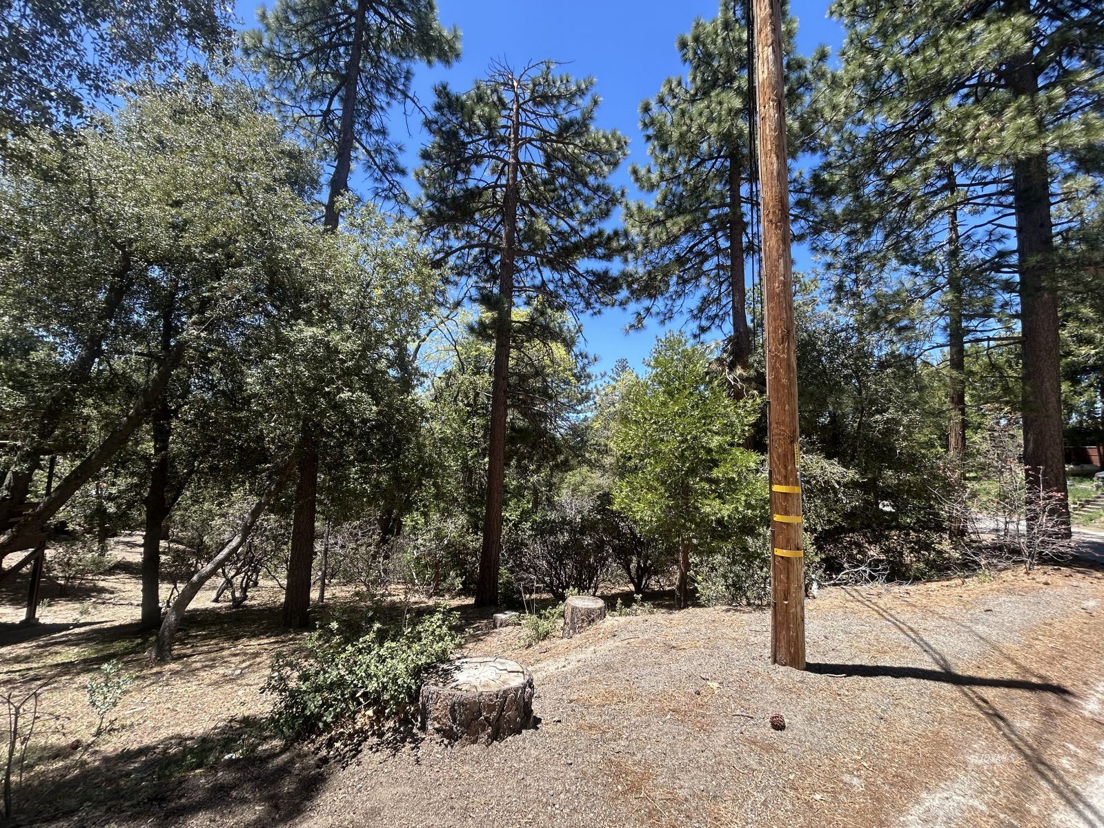 Pine Cove Road Idyllwild, CA 92549 - Photo 4 of 7 Untitled