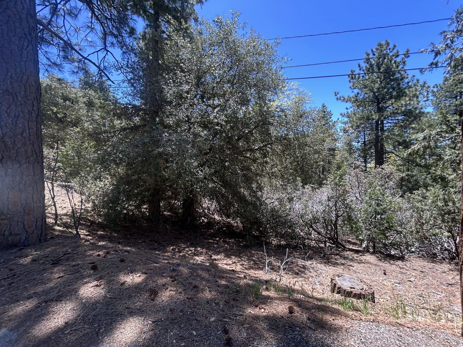 Pine Cove Road Idyllwild, CA 92549 - Photo 5 of 7 Untitled