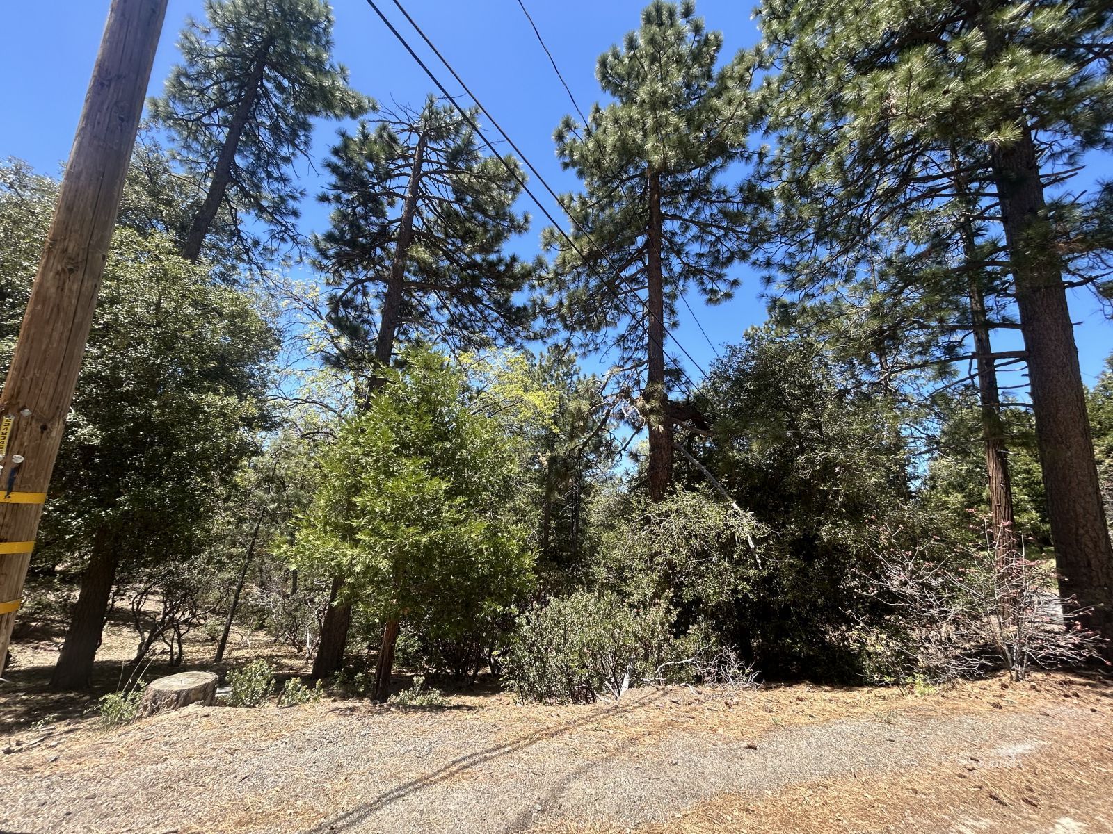 Pine Cove Road Idyllwild, CA 92549 - Photo 6 of 7 Untitled