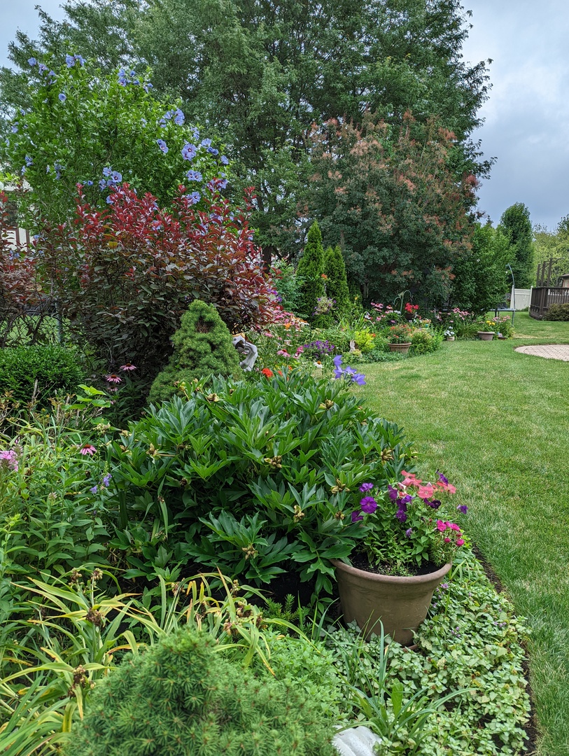 716 West Techny Road Arlington Heights, IL 60004 - Photo 12 of 20