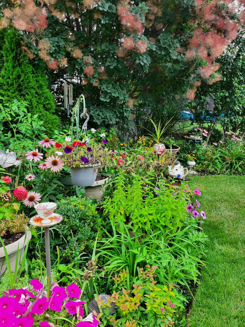 716 West Techny Road Arlington Heights, IL 60004 - Photo 14 of 20