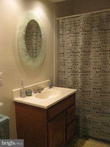 8455 Thames Street Springfield, VA 22151 - Photo 17 of 19 a bathroom with a sink and a mirror