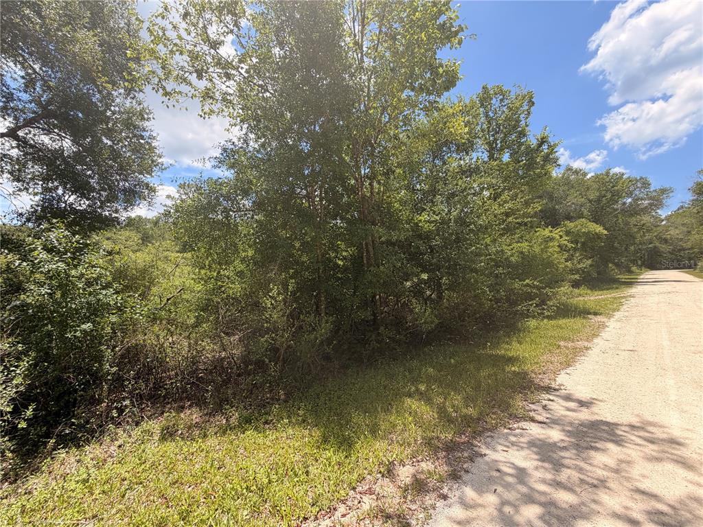 3 Chipstone Street Webster, FL 33597 - Photo 2 of 6