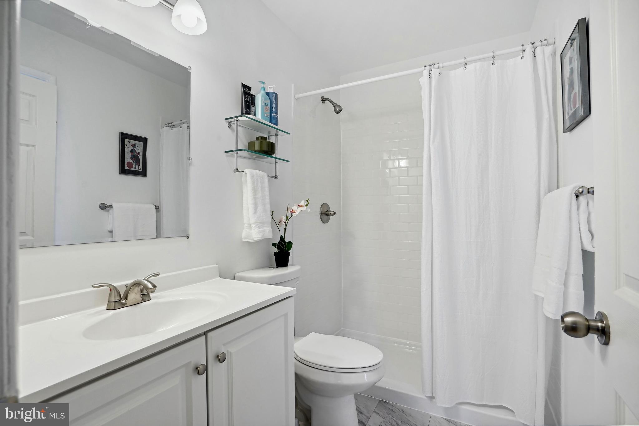 2302 Staley Road Reston, VA 20191 - Photo 8 of 17 Primary Bathroom w/shower