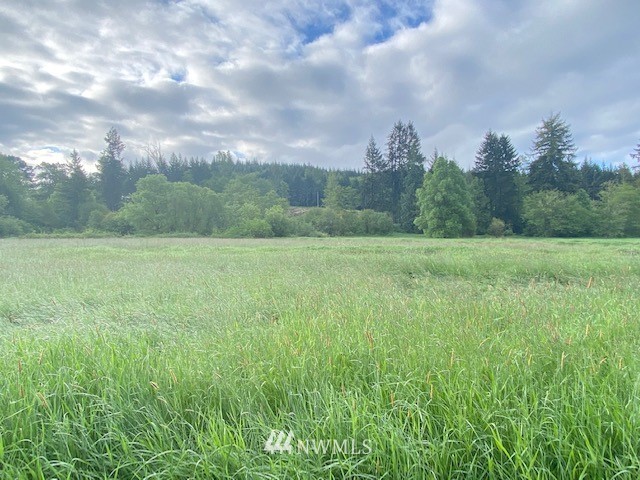 0 B Ramsaur Road Centralia, WA 98531 - Photo 1 of 20 Gallery Image 1