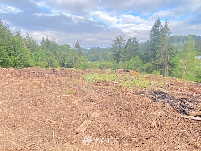 0 B Ramsaur Road Centralia, WA 98531 - Photo 2 of 20 Gallery Image 2