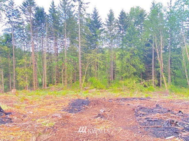 0 B Ramsaur Road Centralia, WA 98531 - Photo 11 of 20 Gallery Image 11