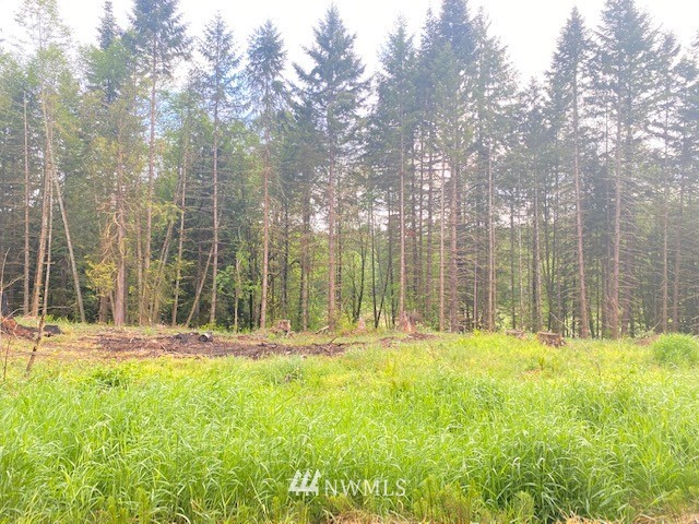 0 B Ramsaur Road Centralia, WA 98531 - Photo 12 of 20 Gallery Image 12