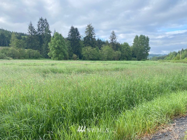 0 B Ramsaur Road Centralia, WA 98531 - Photo 14 of 20 Gallery Image 14