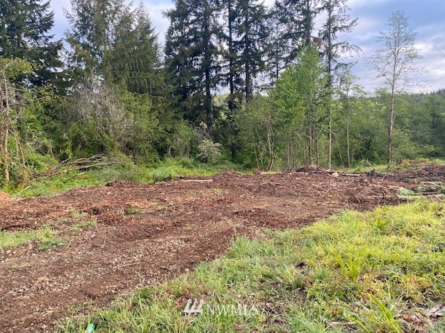 0 B Ramsaur Road Centralia, WA 98531 - Photo 16 of 20 Gallery Image 16