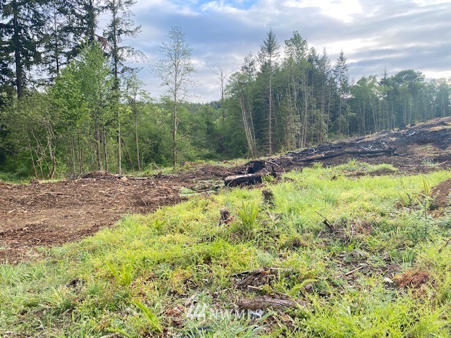 0 B Ramsaur Road Centralia, WA 98531 - Photo 17 of 20 Gallery Image 17