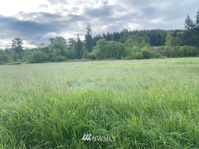 0 B Ramsaur Road Centralia, WA 98531 - Photo 18 of 20 Gallery Image 18