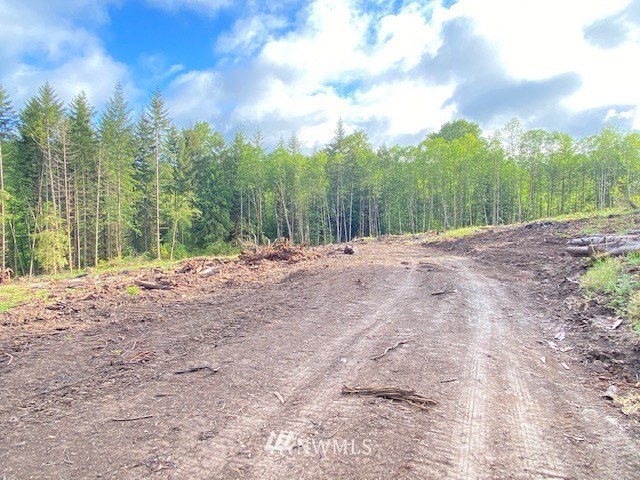 0 B Ramsaur Road Centralia, WA 98531 - Photo 19 of 20 Gallery Image 19