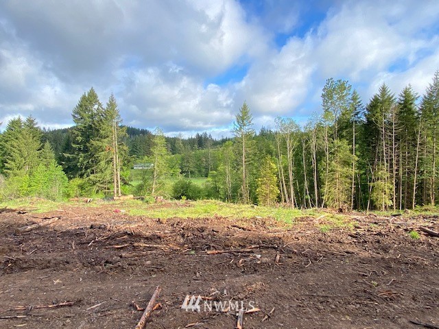 0 B Ramsaur Road Centralia, WA 98531 - Photo 20 of 20 Gallery Image 20