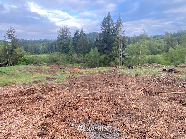 0 B Ramsaur Road Centralia, WA 98531 - Photo 4 of 20 Gallery Image 4