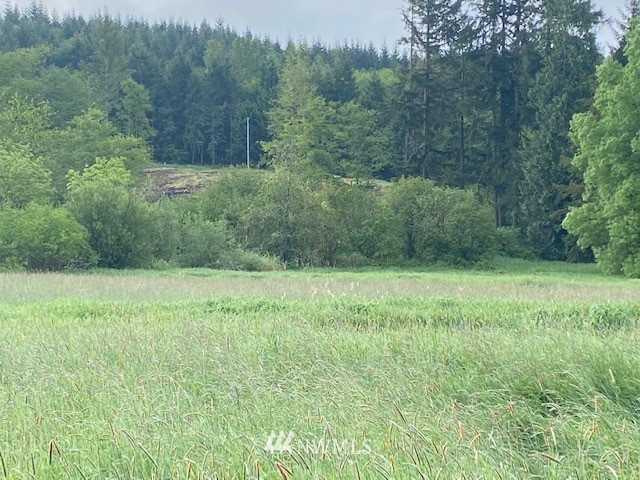 0 B Ramsaur Road Centralia, WA 98531 - Photo 5 of 20 Gallery Image 5