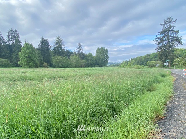 0 B Ramsaur Road Centralia, WA 98531 - Photo 7 of 20 Gallery Image 7
