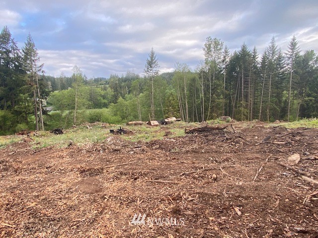 0 B Ramsaur Road Centralia, WA 98531 - Photo 8 of 20 Gallery Image 8