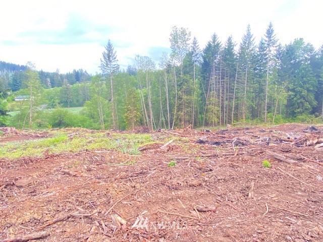 0 B Ramsaur Road Centralia, WA 98531 - Photo 10 of 20 Gallery Image 10
