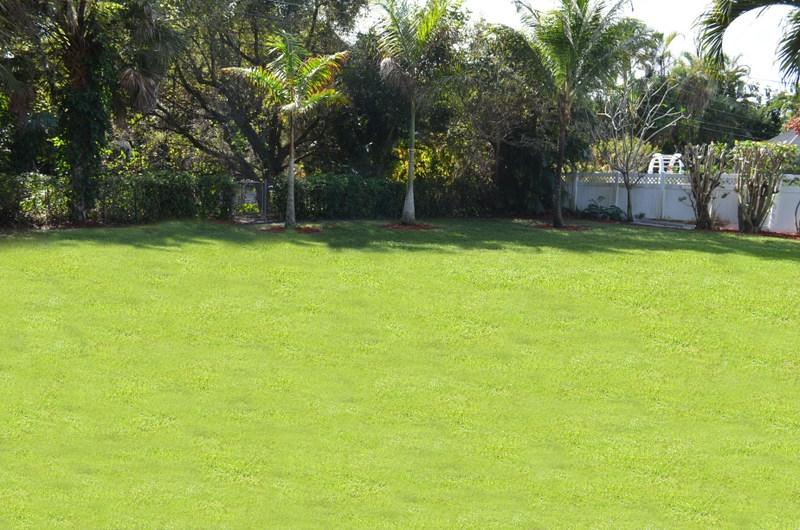 1140 Southwest 14th Street Boca Raton, FL 33486 - Photo 16 of 24 Back Yard view