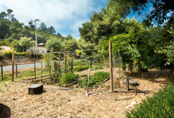 160 Paradise Road Salinas, CA 93907 - Photo 10 of 24 Gallery Image 10