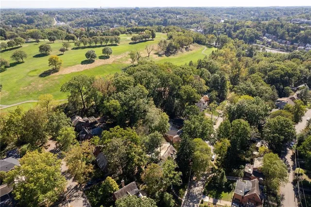 an aerial view of residential houses with outdoor space and trees