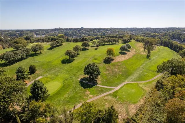 a view of a lake with a mountain