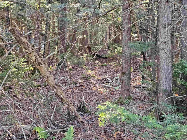 $19,900 | 0 Country Court, Unit LOT 693, Wilmington, VT 05363