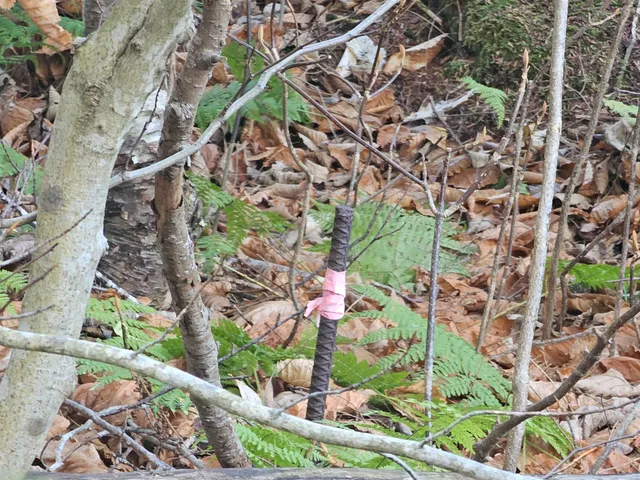 $19,900 | 0 Country Court, Unit LOT 693, Wilmington, VT 05363