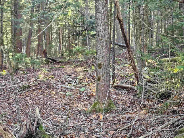 $19,900 | 0 Country Court, Unit LOT 693, Wilmington, VT 05363