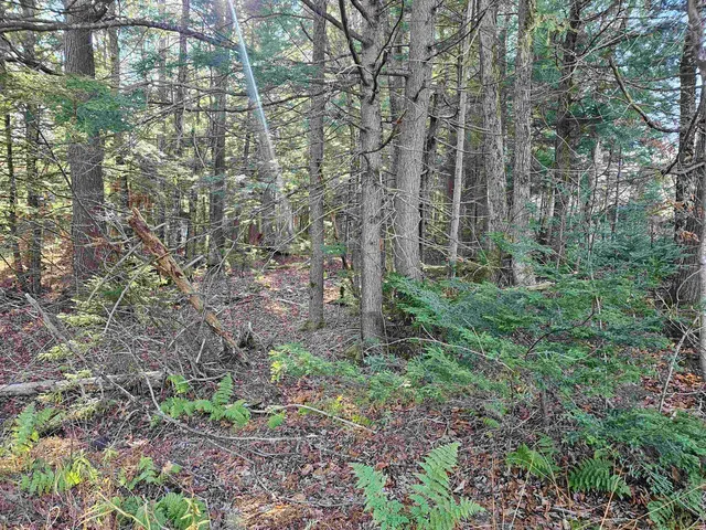 $19,900 | 0 Country Court, Unit LOT 693, Wilmington, VT 05363