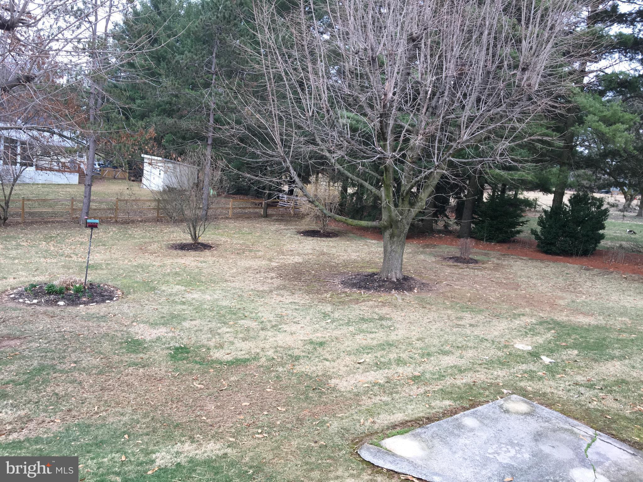 4504 Maple Grove Road Hampstead, MD 21074 - Photo 6 of 12 a view of a tree with a yard