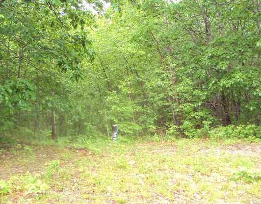 Lot 2 Fish Hatchery Road Deblois, ME 04622 - Photo 2 of 5 Land/Lot.