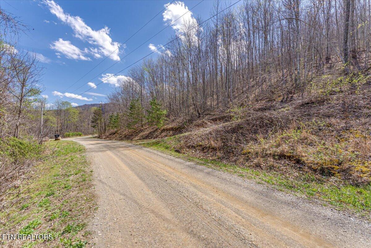 422 Crooked Branch Road Huntsville, TN 37756 - Photo 14 of 35 24-Road A2