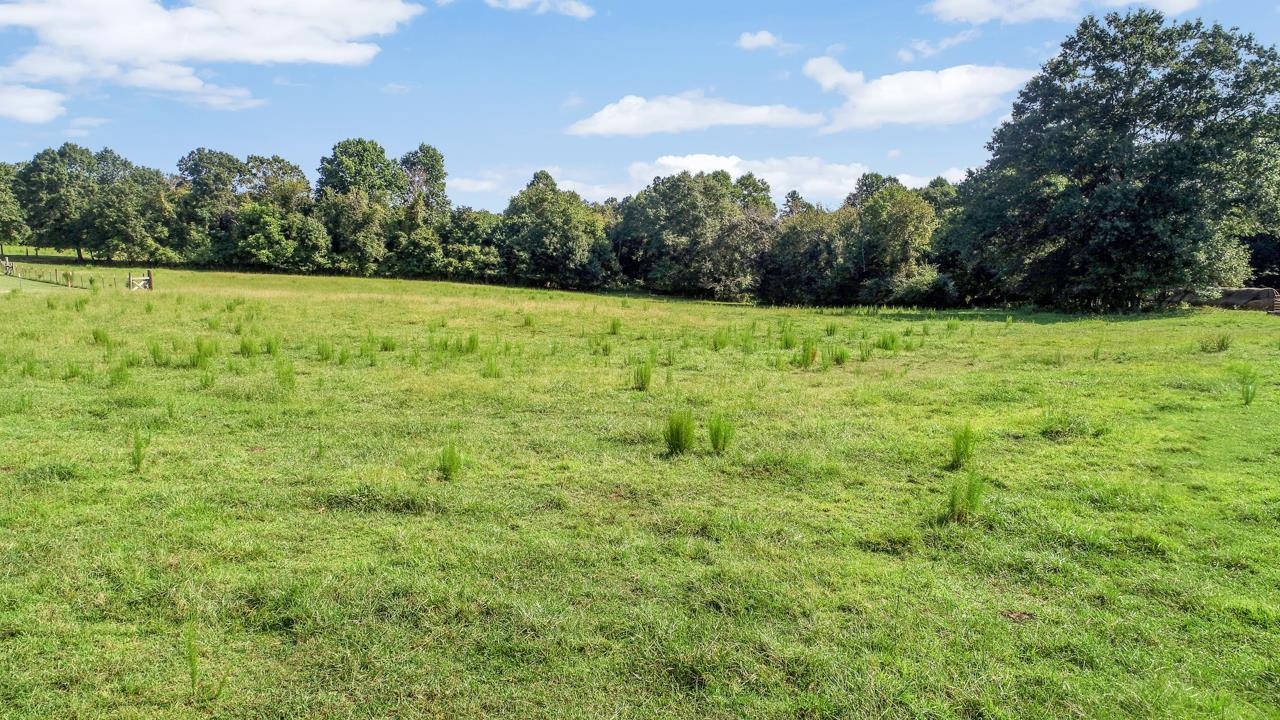 128 Arrowood Branch Road Chesnee, SC 29323 - Photo 6 of 15