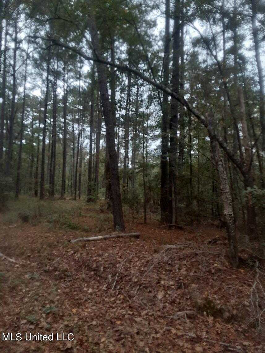 904 Mullican Road Florence, MS 39073 - Photo 1 of 1 land