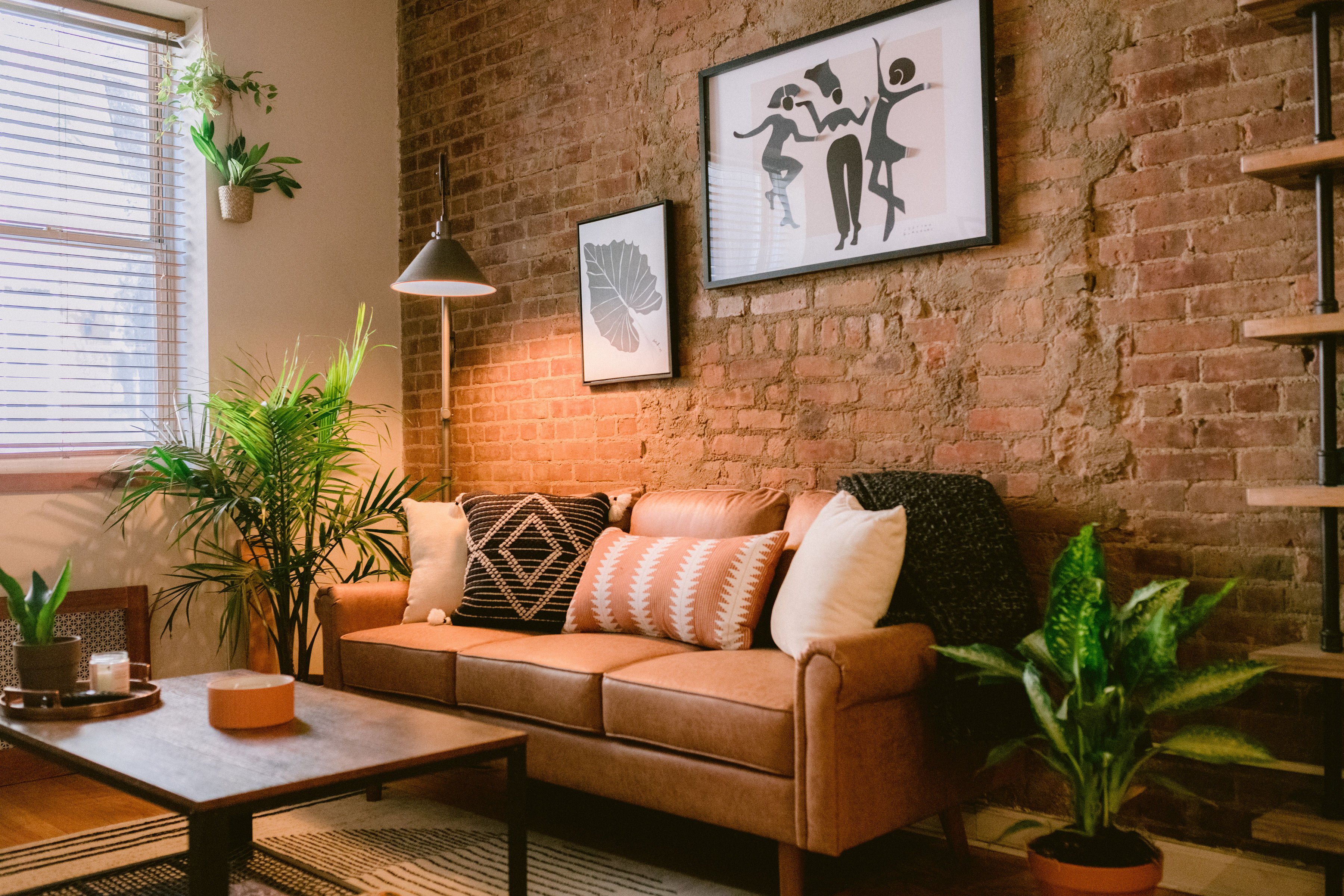 a living room with furniture potted plant and a potted plant